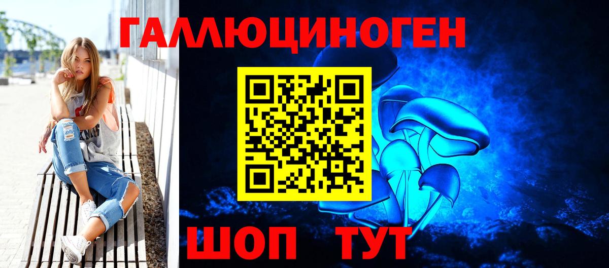 Псилоцибиновые грибы Psilocybine cubensis Губаха