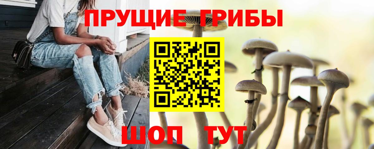 Губаха  Псилоцибиновые грибы ЛСД  Галлюциногенные грибы Magic Shrooms  Вход с VPN 